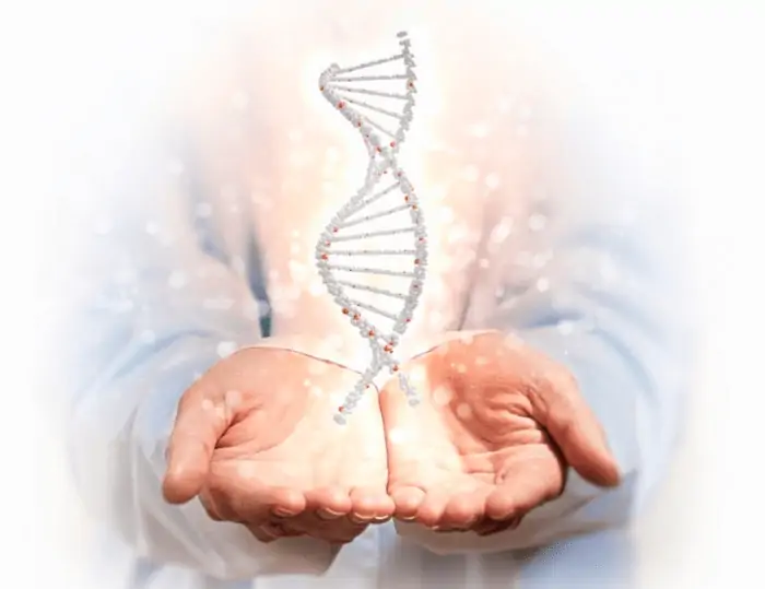 Healing from obesity